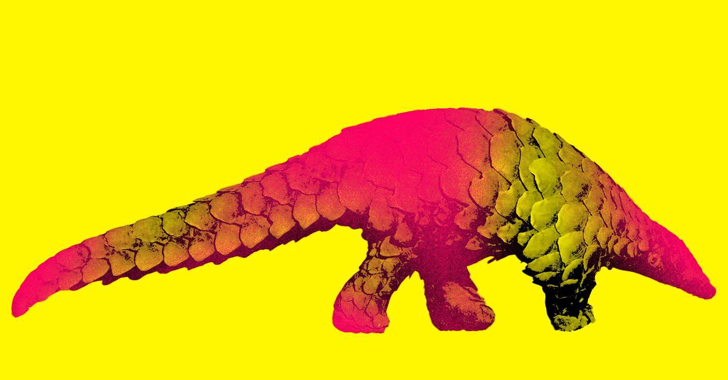 Healthmedicinet Com I 2016 9 By Tuni Sante Issuu