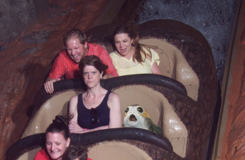 Porg on splash mountain