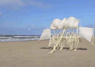 Wind robot deals walking