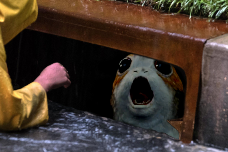 Porg down the drain