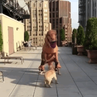 T-rex playing with a dog