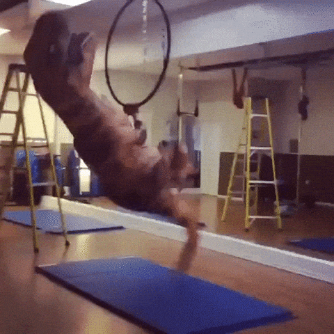 T-rex doing hoop gymnastics