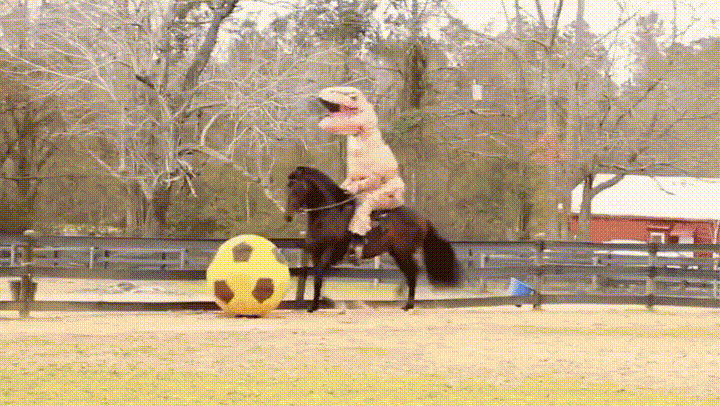 T-rex playing football whilst riding a horse