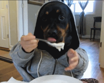 Dogs Eating Like Humans Animals Dogs on Beano