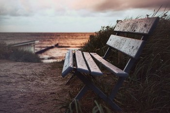 Bench on a beach in Germany (Zingst)