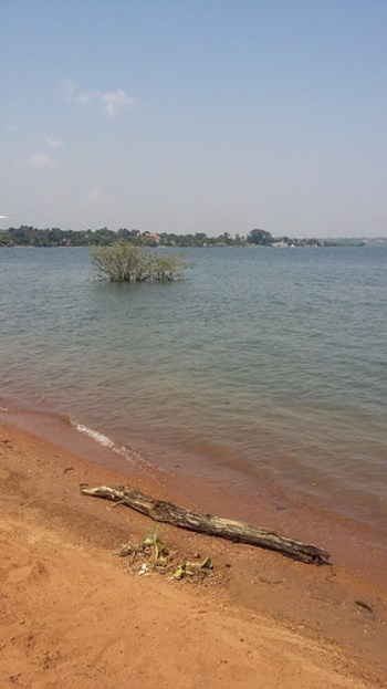 Lake Victoria from Entebbe Botanical Gardens