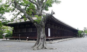Sanjūsangendō of Kyoto