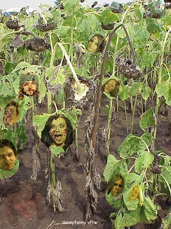 The Dead Plants of Season 7