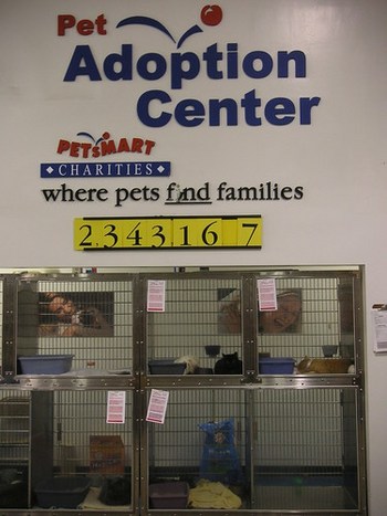 Pet Smart Adoption Center