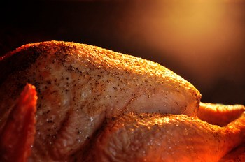 How to Cook a Turkey Perfectly