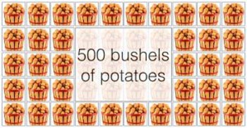 500-bu-of-potatoes-GRID-300x155