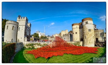 Tower of London Remembers