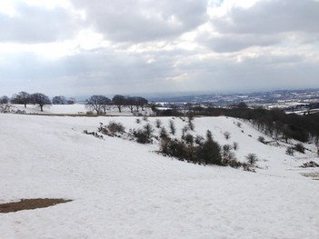 Easter snow on Waseley Hills