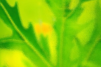 abstract leaves