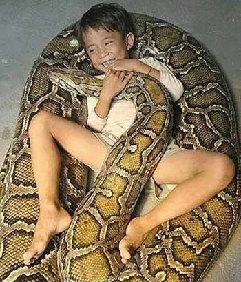 snake and boy