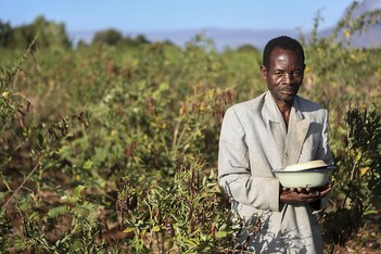 Malawi Pepper Farmer
