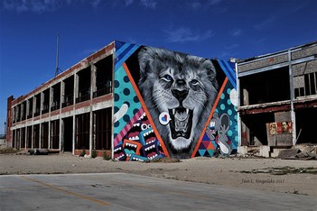 Detroit Lion