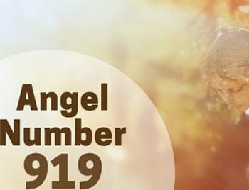 919 ANGEL NUMBER – HIGHER PERSPECTIVE MEANING | http://ift.tt/2Dv8XxN | #GuardianAngelReading #PadreMedium