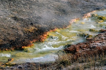 Originated in Excelsior Geyser, runoff streams flow down to join Firehole River- a closer look : Midway Geyser Basin, Yellowstone NP, USA.