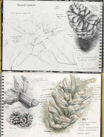 Sketchbook - Primary Source Drawing