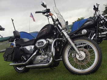Harley-Davidson Motorcycles (264)