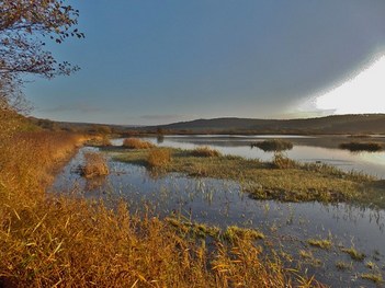 An Early Autumn Morning at RSPB Leighton Moss near Silverdale in Lancashire, England - November 2013