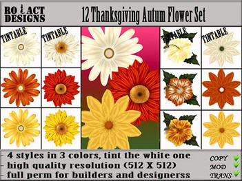 Thanksgiving Autum Flower Set Poster