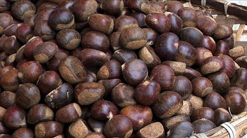 Vietnam - Sapa - Streetlife - Sweet Chestnut