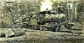 Chippewa N. F. logging train , Minnesota Sept. 1904 NARA95-GP-1486-Box0330_010_001_AC