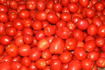 Vietnam - Sapa - Market - Tomato - 151