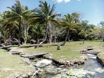 Arroyo hacia la Laguna de bacalar Chetumal Quintana Roo México