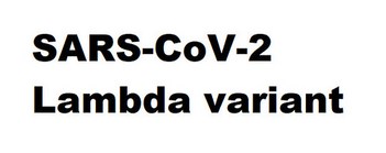 SARS-CoV-2 Lambda variant (Betacoronavirus (Sarbecovirus) Severe acute respiratory syndrome–related coronavirus)