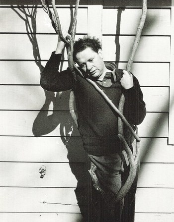 New York - Millbrook - Dylan Thomas in 1952. And Dylan's Life and Death.