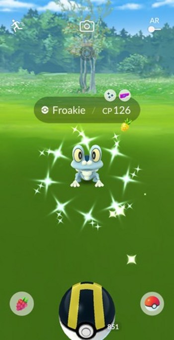 First Shiny Froakie at Warrawee Park Oakleigh after 45 minutes of catching, on Pokemon Go Community Day August 2023