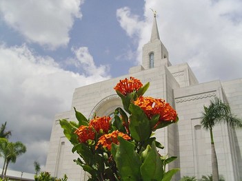 Templo SUD (Mormon) San Salvador El Salvador - Flores y Templo