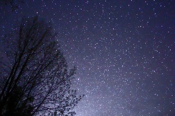 12. At_night_he_crept_under_my_cot_and_took_his_only_rest_on_the_bare_ground_Michael_J_Bennett_1280px-Night_Sky_Stars_Trees_02