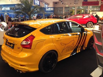 Wolf Ford Focus st