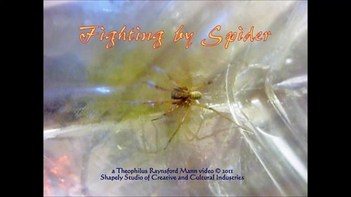 Fighting by Spider 2011