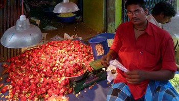 India - Tamil Nadu - Chennai - Rose Blossom Man - 42