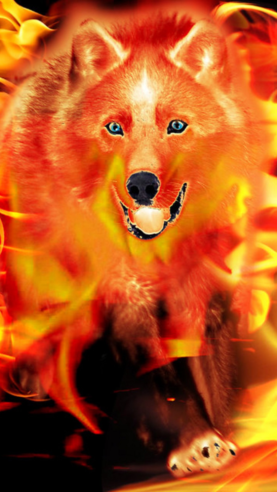 lobo fuego Flickr Photo Sharing on net.photos
