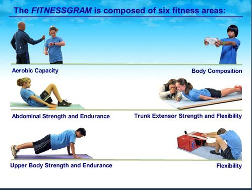 Aerobic 2025 capacity activities